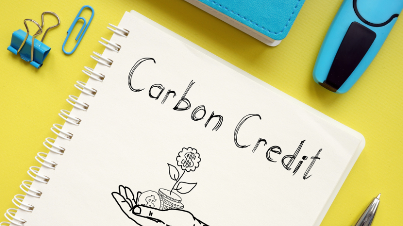 Com Aldo Vendramin, descubra o passo a passo para gerar receita sustentável com créditos de carbono rurais.